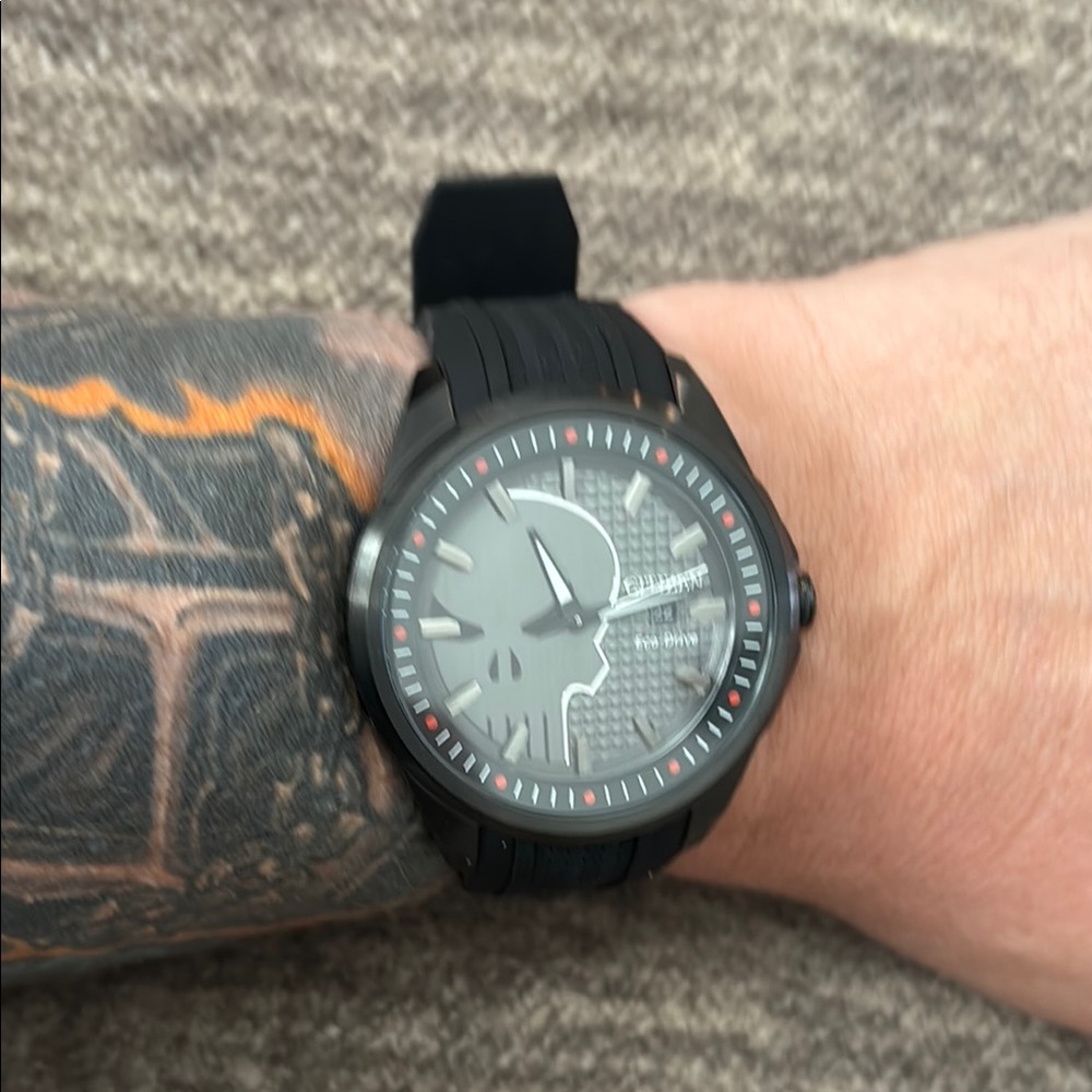 Citizen eco-drive punisher watch